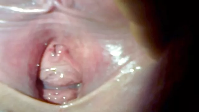 Pornografia sem registo  O Negar vídeo pornô vr não fica com o rabo branco na festa.