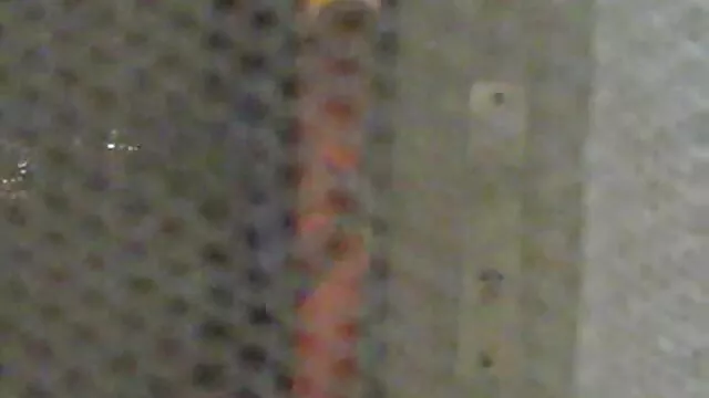 Pornografia sem registo  